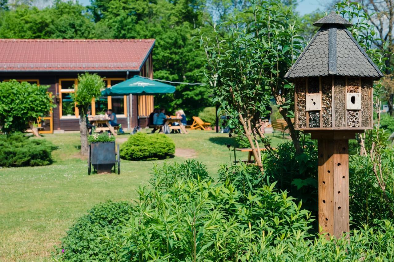 Aktiv-Hotel Stock & Stein Кёнигштайн-ан-дер-Эльбе Экстерьер фото
